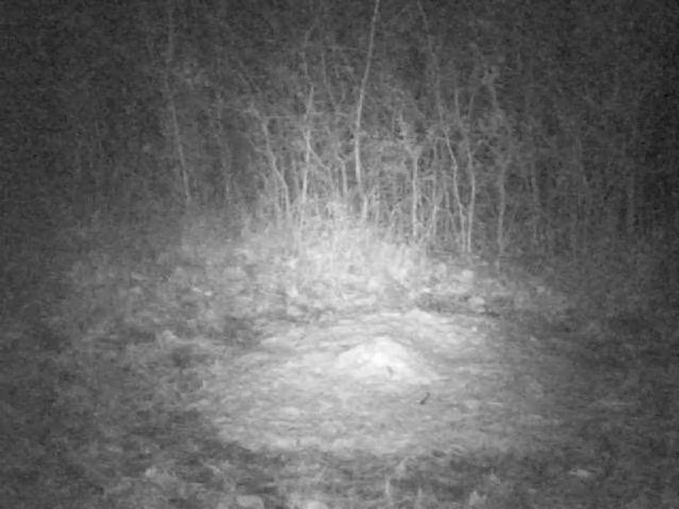 PICT0008-07/02/2014 à02h07