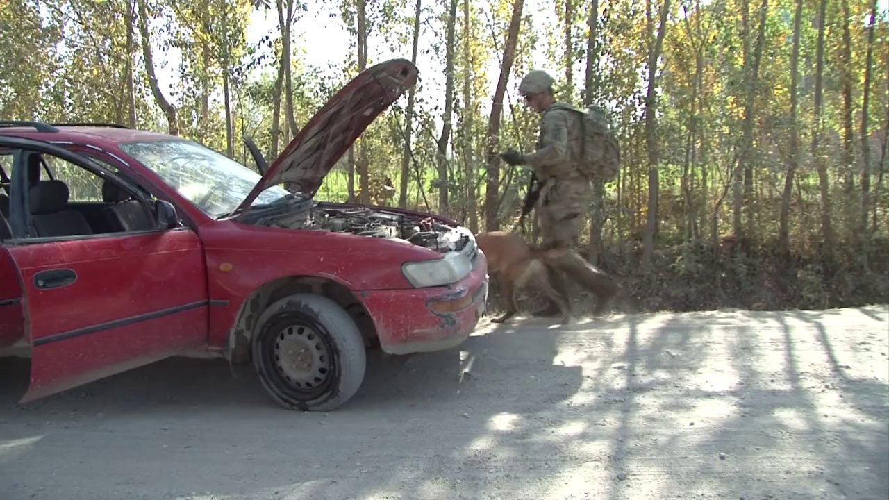 NATO-Hund in der Gewalt der Taliban