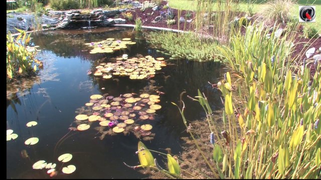 bassin de jardin de Waremme