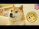 Dogecoin: cryptocurrency passes Bitcoin to reach the moon