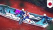 Dolphin slaughter in Japan: hundreds of dolphins killed in Taiji's annual hunt