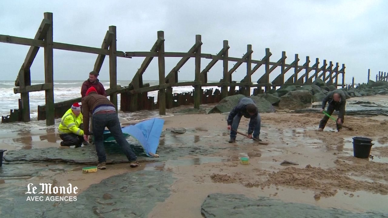 Des traces de pas vieilles de 800 000 ans découvertes en Angleterre