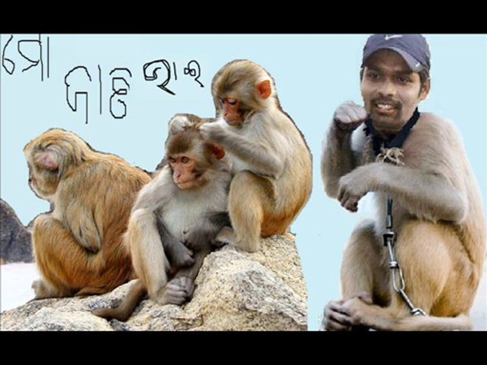 natraj behera ranji cricketer orissa  cricket team -monkey man (1)