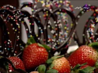 Abu Dhabi TV - 20-06-2013 15h45 15m (4916)