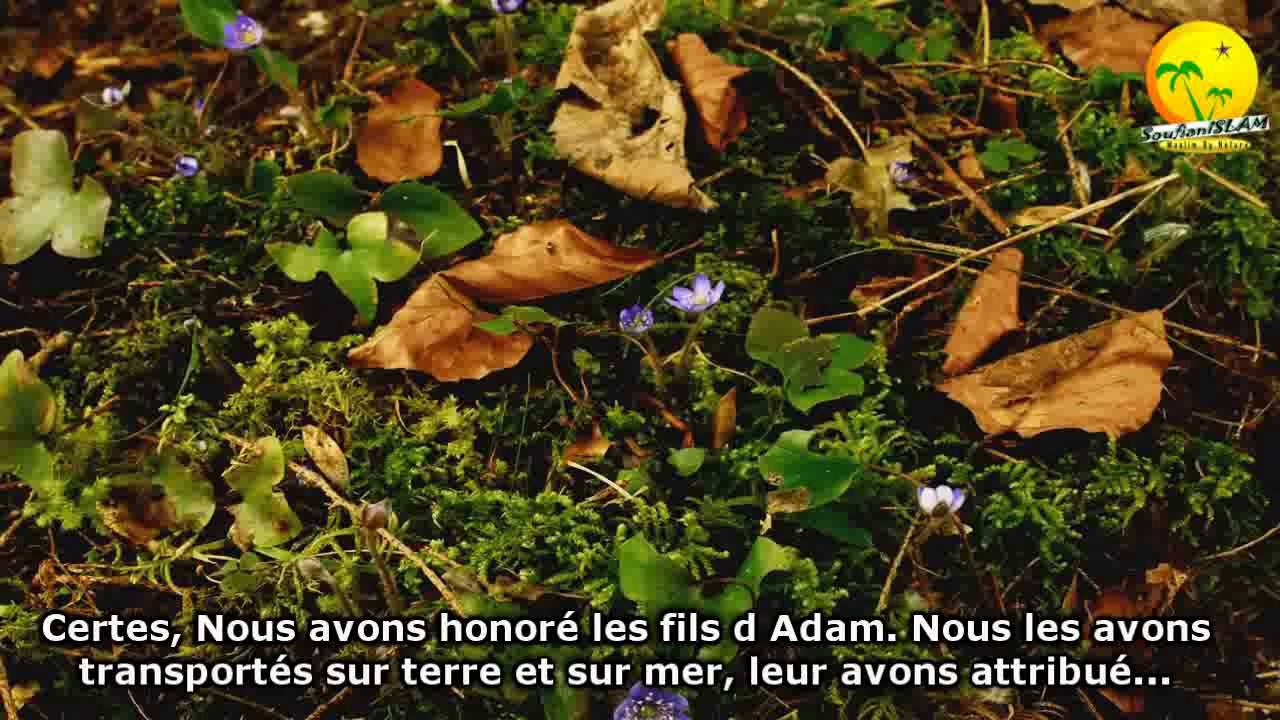 Sourate  Al-Isra (Le Voyage Nocturne). Verset 61-77. Magnifique récitation. Sheikh Abdullah al Juhani. A écouter._.قراءة رائعة جدا. من أخشع قراءات الشيخ عبد الله الجهيني. سورة الإسراء. أية 61-77