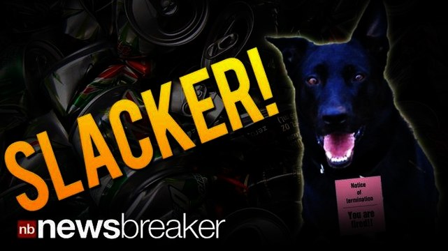 SLACKER!: Police Dog Fired for Playing in Garbage Instead of Sniffing Out Drugs