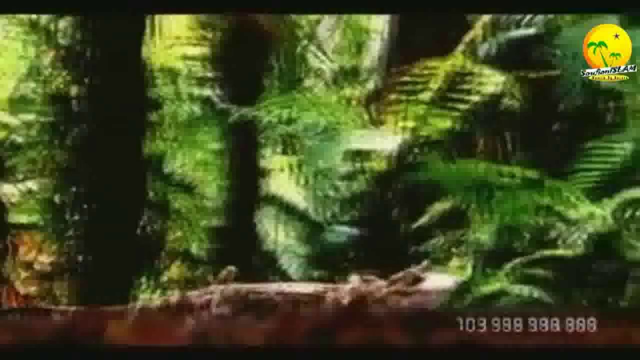 La théorie de Darwin simplifiée.-_- L'evolutionnisme de A à Z..-_-.Darwin's Theory of Evolution Simplified