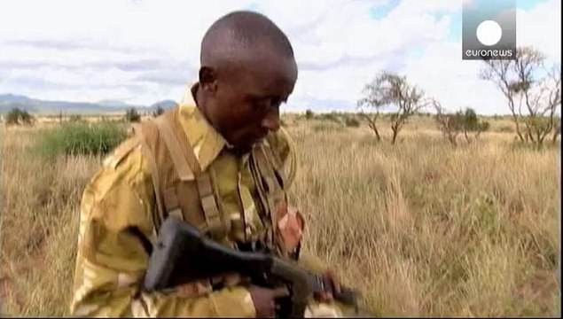 La UE contra el tráfico de especies silvestres