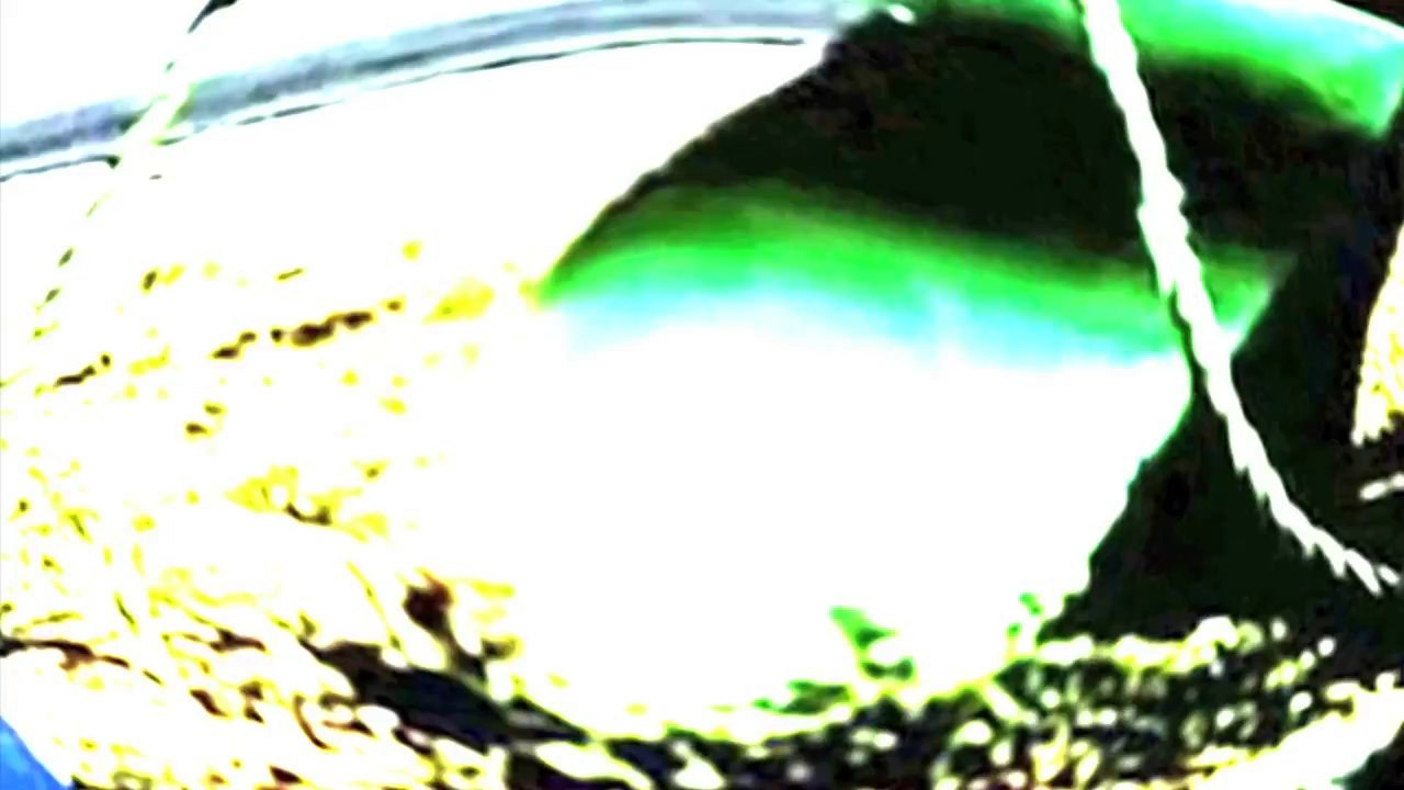 Festeberg - Chuck SEAGAL  /Full Film/Ganzer Film/Complete Movie