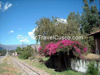 Cusco  Valle Sagrado - www.nctravelcusco.com 05