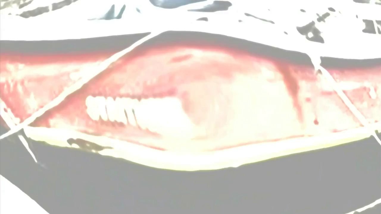 Seifedesjazzes - belichtung  /full film/ganzer film/complete movie