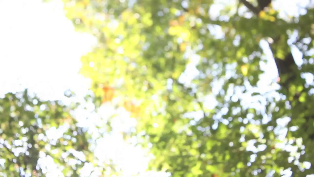 Labaspa - Cooper Agent  /Full Film/Ganzer Film/Complete Movie