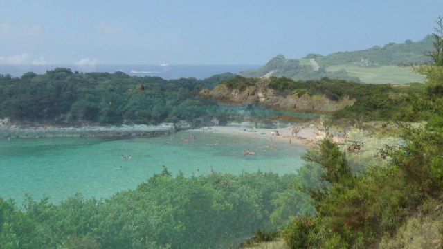(1310) Plongée en Corse snorkeling diving