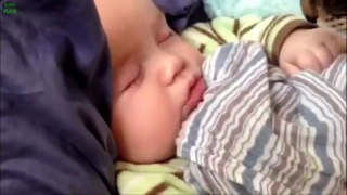 Best Babies and Animals Compilation