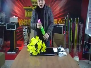 Feather Flower from Sleeve Explanation china magic kingmagic.