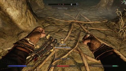 L'intégrale Skyrim - Ep 283 - Playthrough FR HD par Bob Lennon