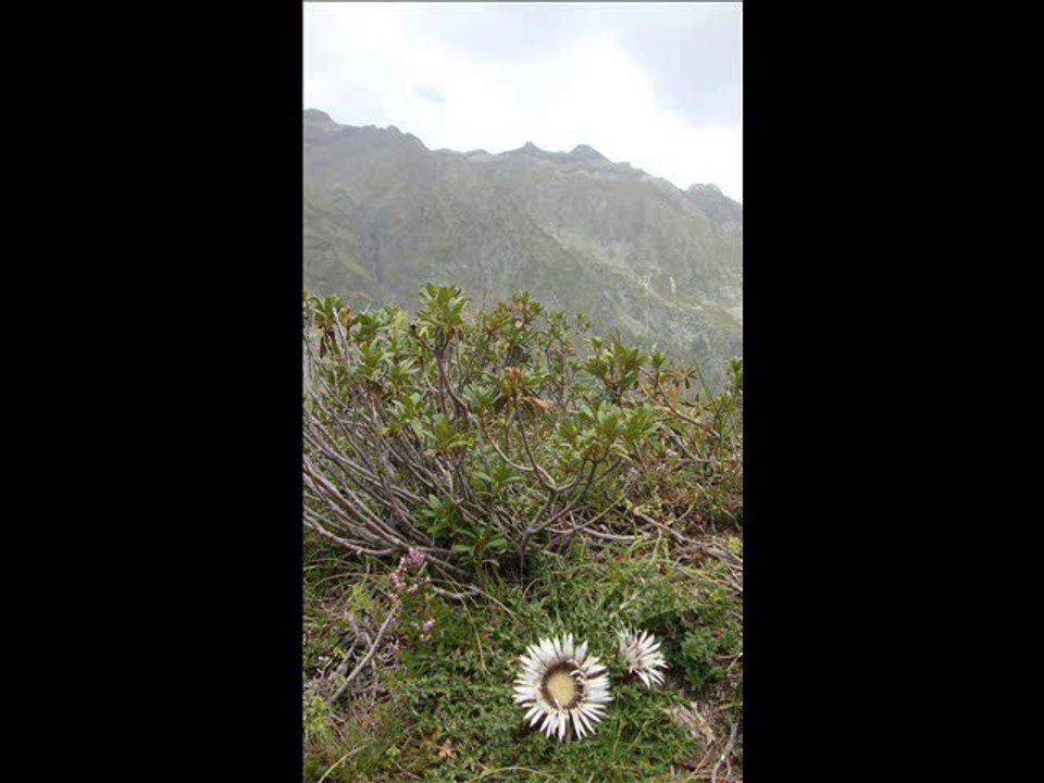Le Lac de Badet (Piau-Engaly)