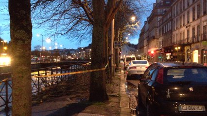 Chute d'un arbre sur les quais