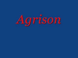 Agrison on Peerindex
