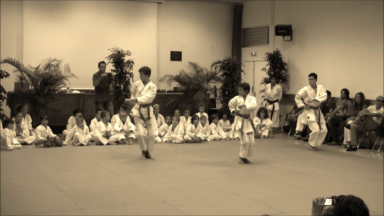 Karaté : baby, stage, kata, combat, show @ Cannes