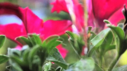 Melter - Timespritz  /Full Film/Ganzer Film/Complete Movie