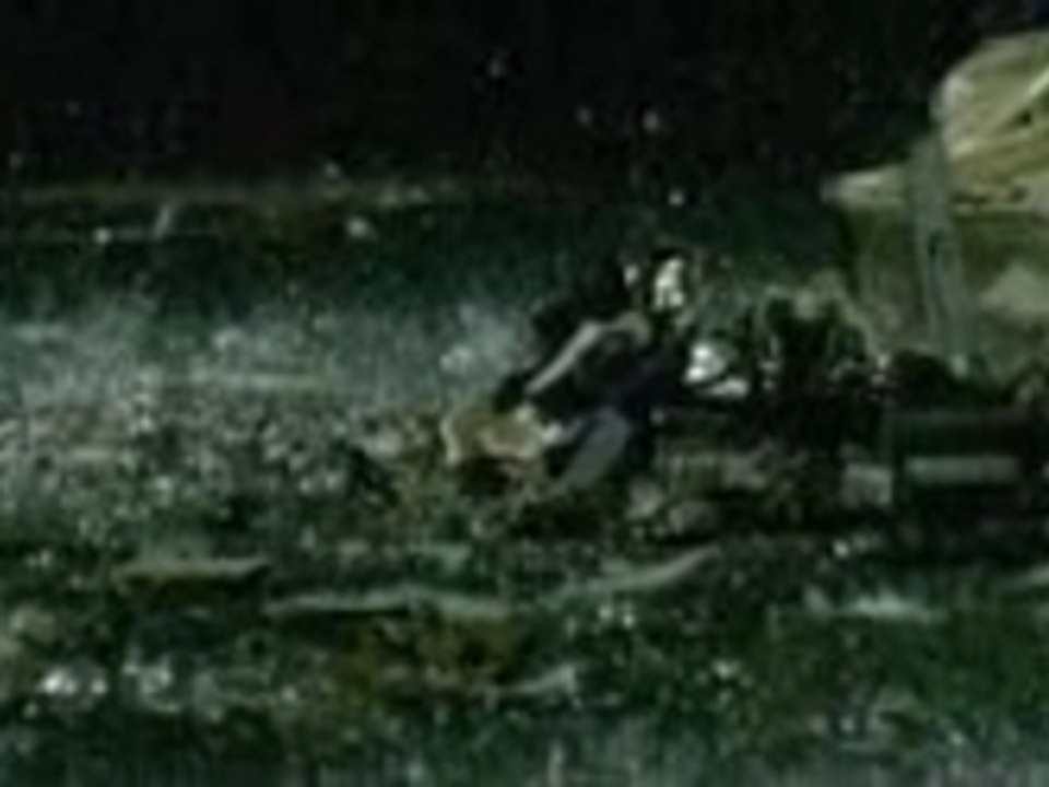 Sarah McLachlan- Fallen