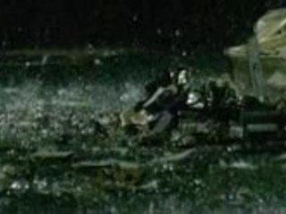 Sarah McLachlan- Fallen