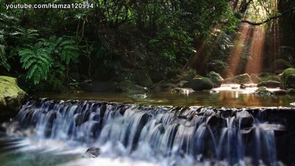 Surah Waqiah Qurah chapter 56, Beautiful Voice القرآن الكريم