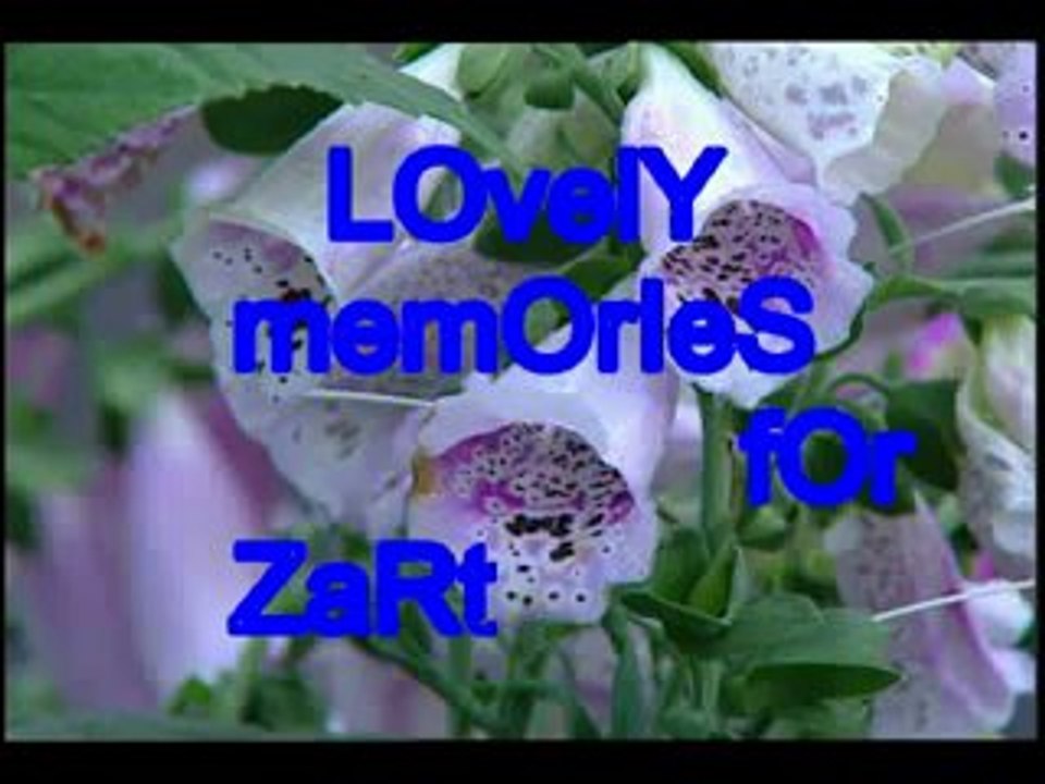 zartashia memories