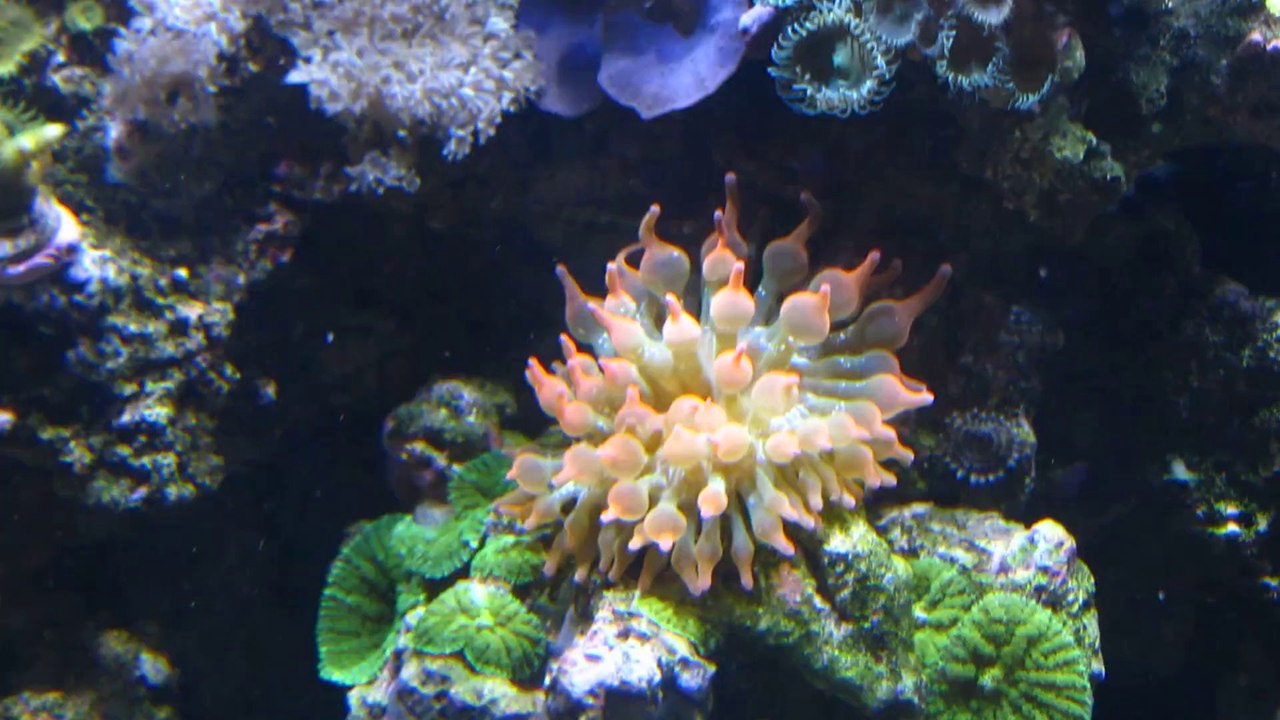 MVI_3870