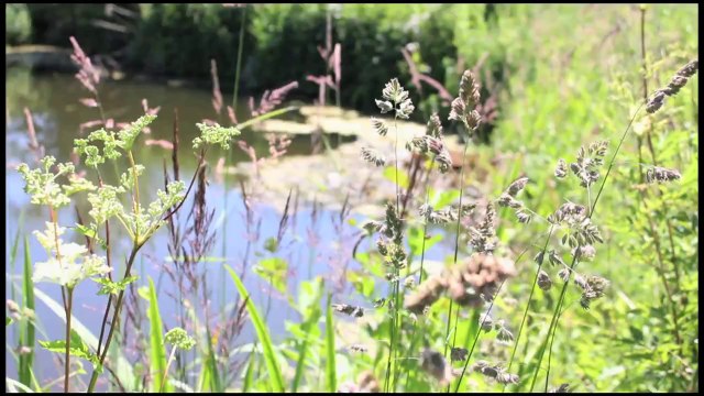 Vapeurs - Ida /Full Film/Ganzer Film/Complete Movie