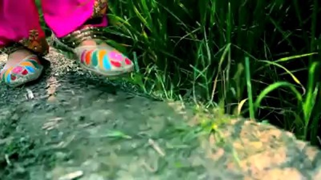 Desi Jatti - Rimz J feat Tigerstyle and Bunty Bains