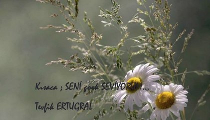 Emel Sayın - İzmirlim