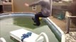 Crazy DAD jumping in a frozen pool... Epic Fail!