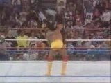 Undertaker Vs Hulk Hogan