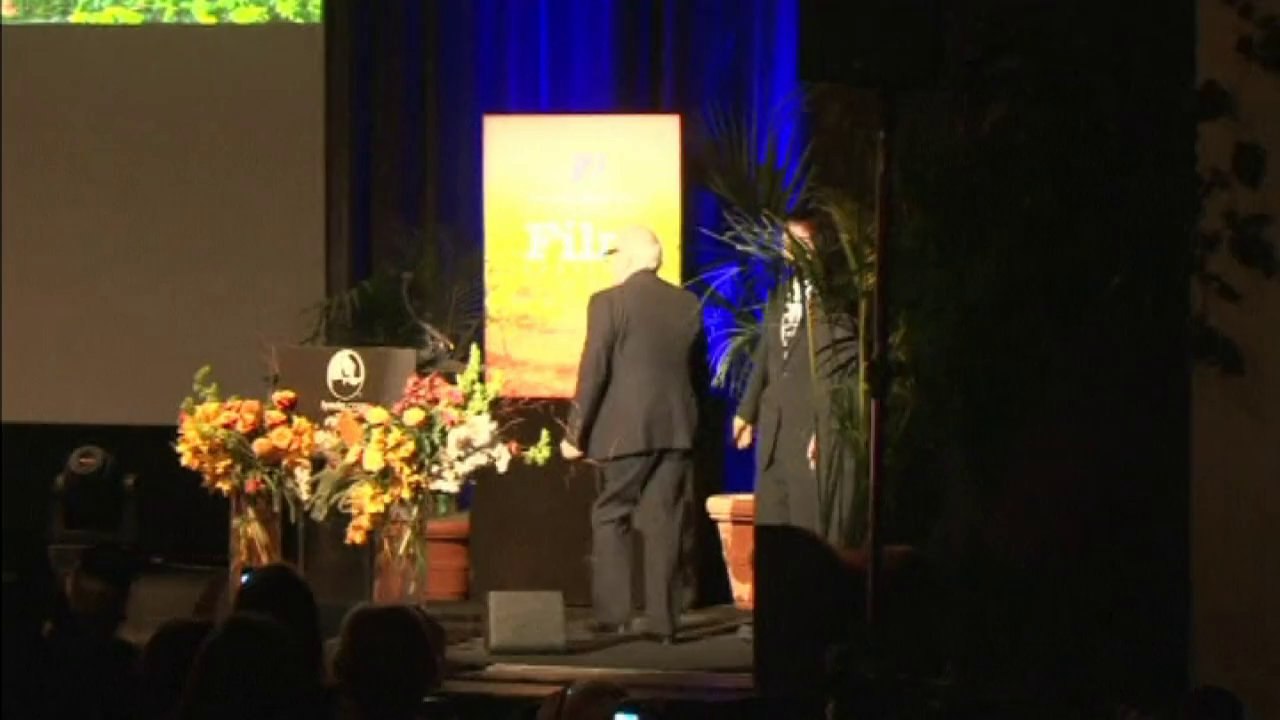 Leonardo DiCaprio and Martin Scorsese honoured