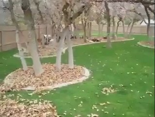 Ma quanto si diverte