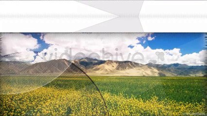 Portfolio Complex System - After Effects Template