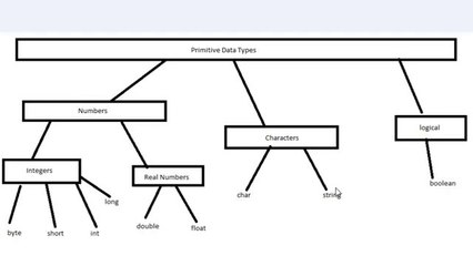 005 - Primitive Data Types