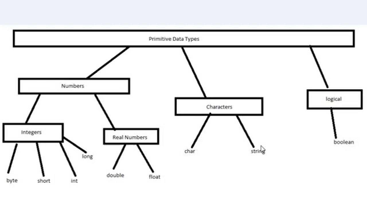 005 - Primitive Data Types