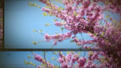 Sliding - After Effects Template