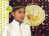 Nice Pashto Naat - Da Madini Habiba Sta Haram Yadigi Zama - Suhail Ahmad