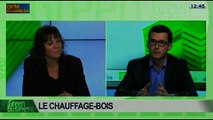 Le chauffage-bois: Baptiste Ploquin et Patricia Laurent, dans Green Business – 09/02 4/4