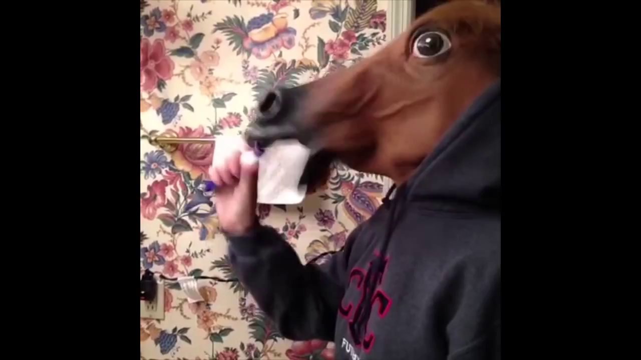 Le Zap de Vine n°4