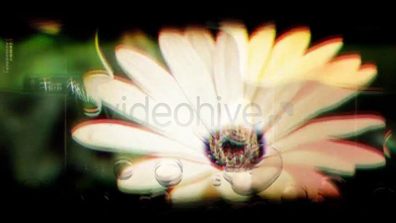 Fluid Gallery Full HD - After Effects Template
