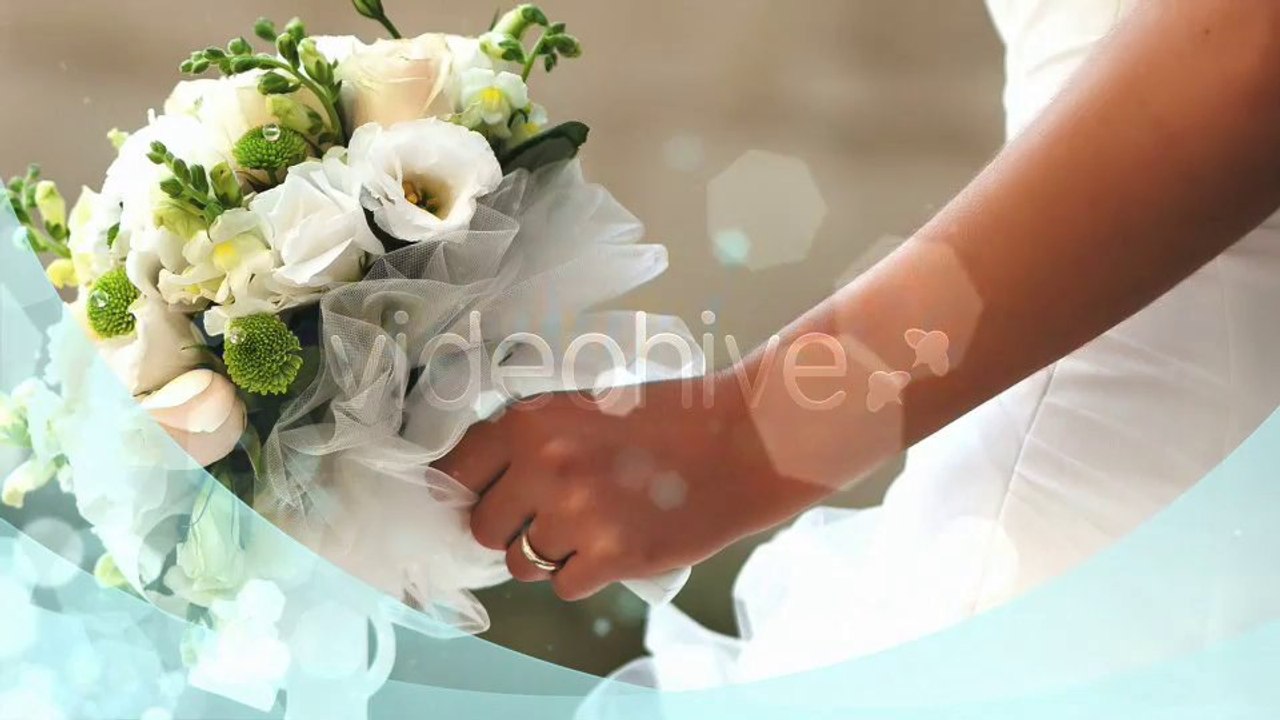 Elegant Wedding Package - After Effects Template