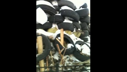 À la recherche de Svoboda