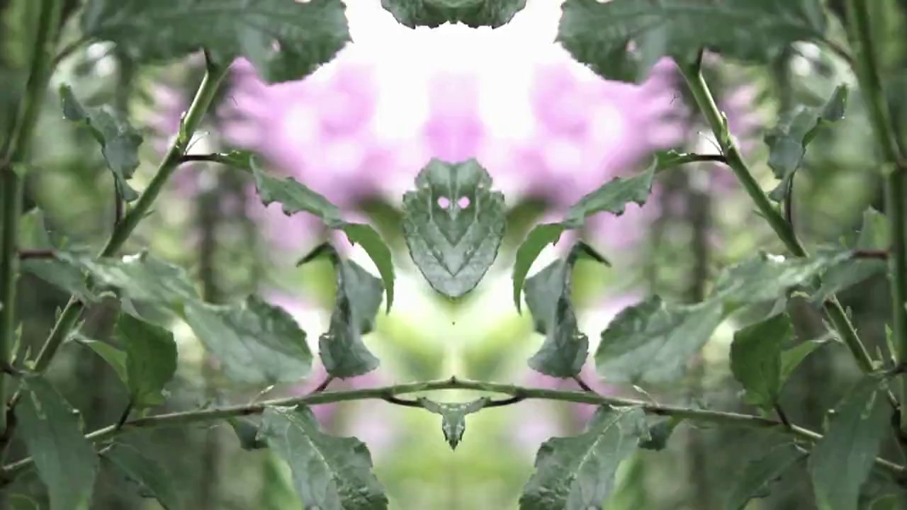 The Hood  -  We love it  /Full Film/Ganzer Film/Complete Movie