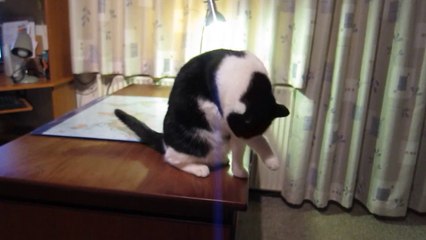 Liva - med et ben i bedring!