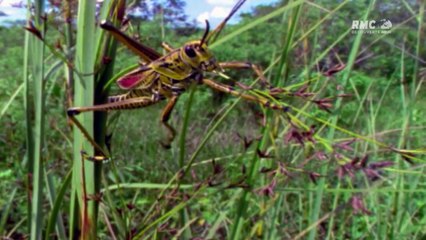 Un monde mortel - Tueurs miniatures